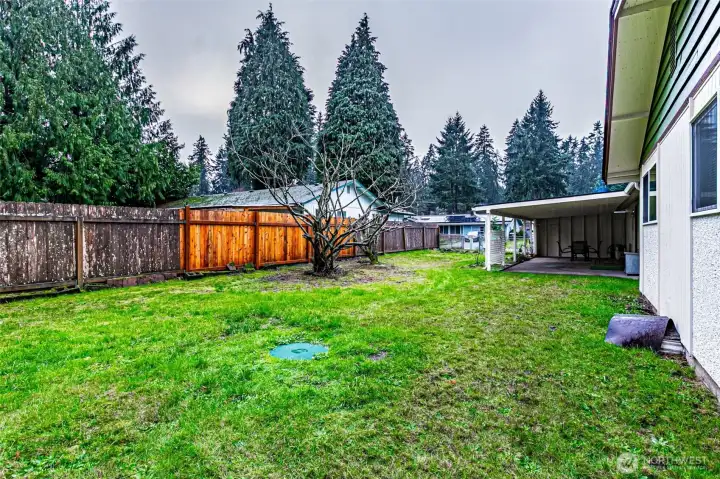 Large Backyard with Fruit trees