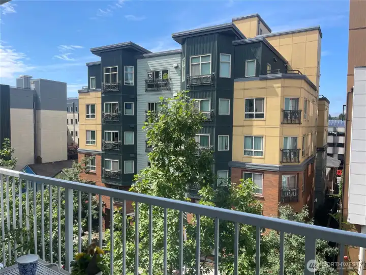 View from deck facing east