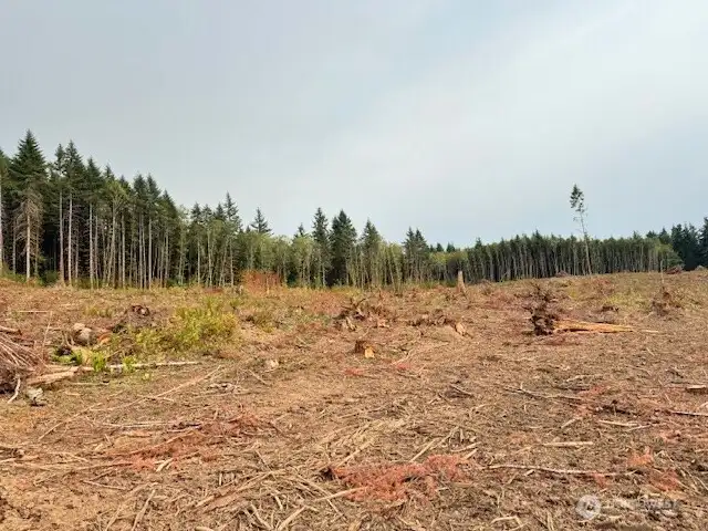 Soil report indicates gravity septic