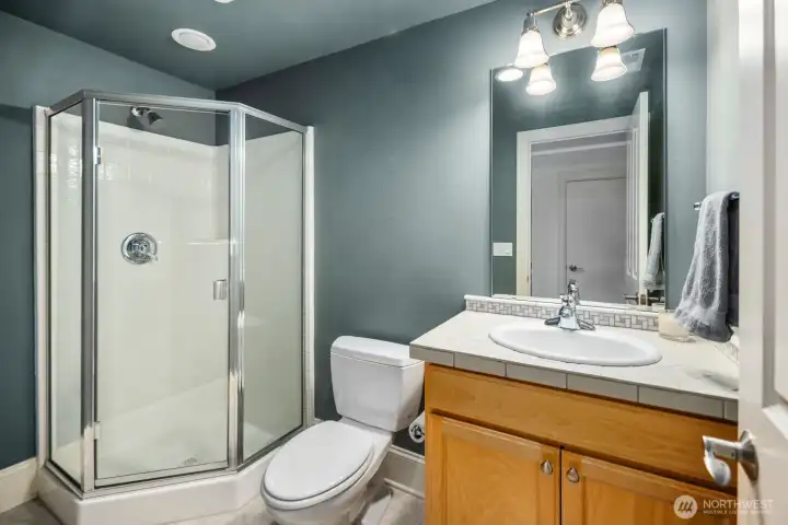 Lower Level Bathroom