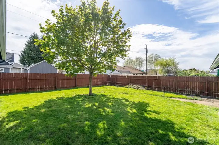 Fully fenced back yard