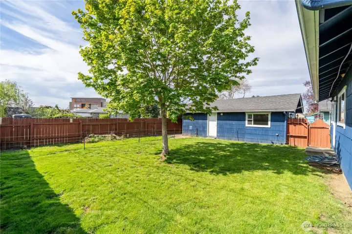 Fenced back yard and garage