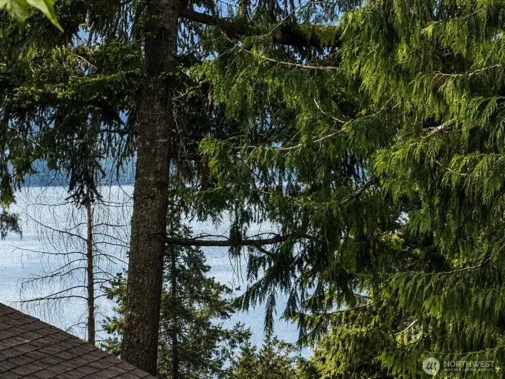 This peekaboo lake Sammamish view will be opened up by the removal of many trees once the nearby housing development is completed!