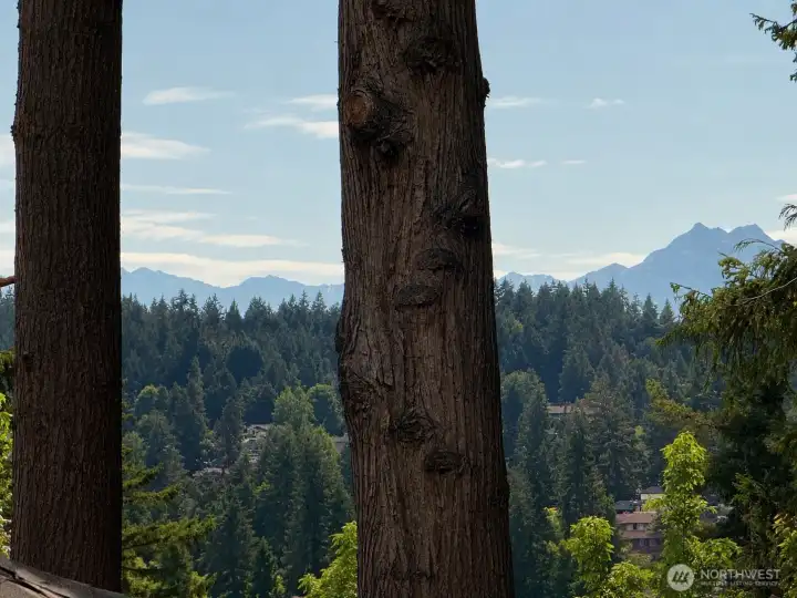 Cascade mountain view from the upper level...