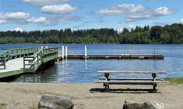 Look at this community dock - imagine just splashing around or fishing here!