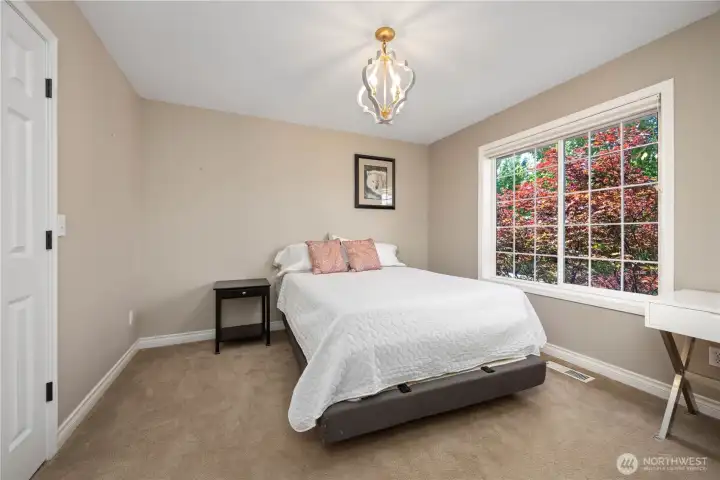 Spacious bedroom with walk-in closet, built-ins, and abundant natural light.