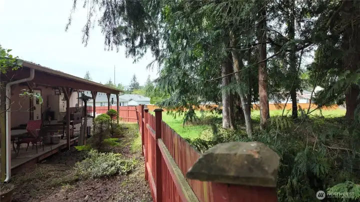 Back property line (approximately!)