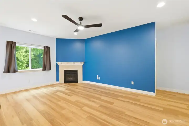 Gas Fireplace Gas Fireplace