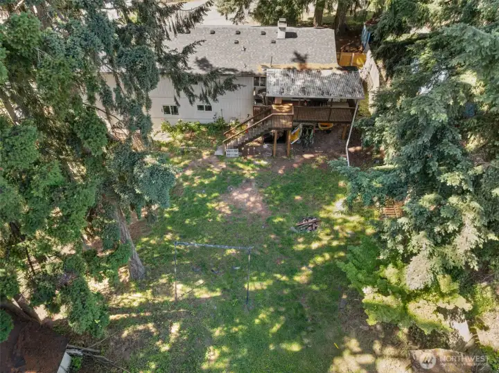 Spacious backyard view