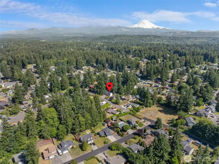 Stunning aerial view of the gorgeous, tree-lined neighborhood with sweeping mountain views in the distance