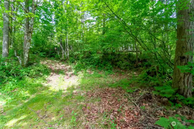 From paved road , up this dirt road to the level part of the property