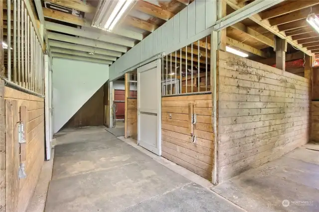 Interior shot of barn with 5 stalls, tack room, stairs leading up to second level!