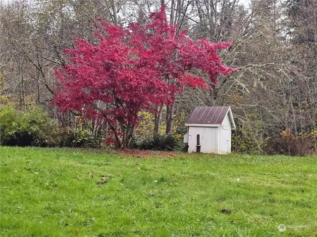 Chicken Coop