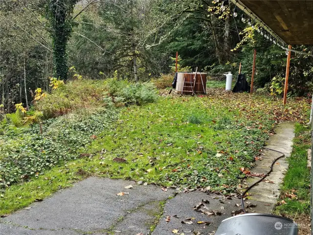 Back Yard Hot Tub