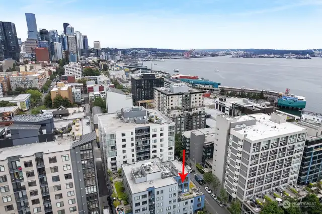 What a location!  Just 2 blocks from the Elliott Bay Waterfront and Trail.  Also, nearby and walkable are the Olympic Sculpture Park, Myrtle Edwards Waterfront Park, and Seattle Center.  Pike Place Market is 8 blocks away.  Great Belltown Restaurants and Cafes are steps away.