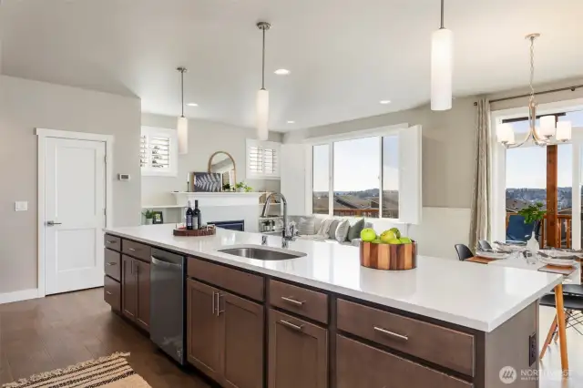 Views of the Olympic mountains from your kitchen sink!