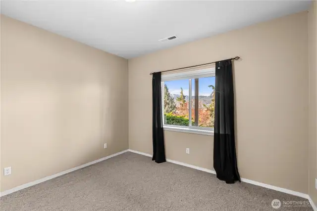 Lower level bedroom
