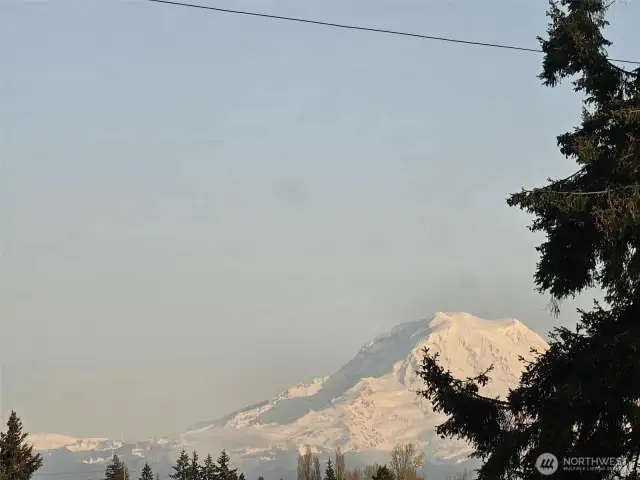 View from Primary Bedroom