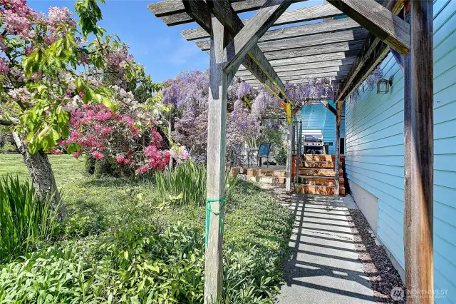 Enchanting entrance w/ a walkthrough wisteria arbor.