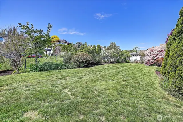 Fully fenced in backyard.