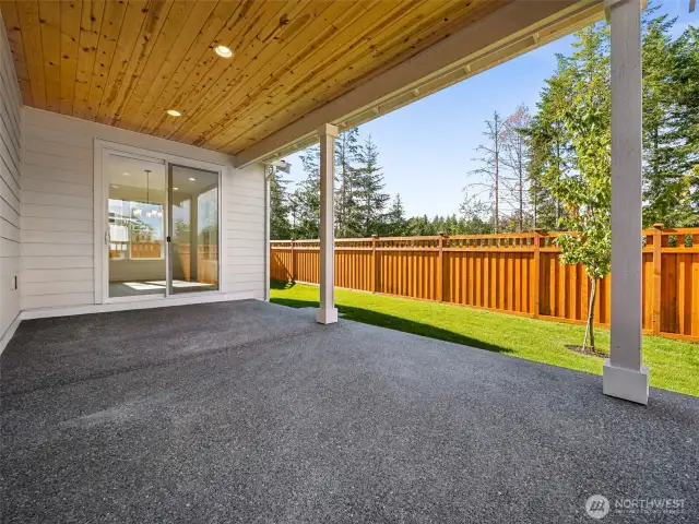 Covered Back Patio