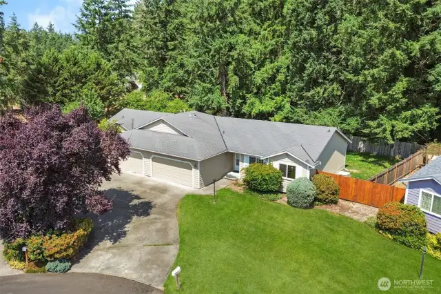 Backed by Mature Trees for Optimal Privacy