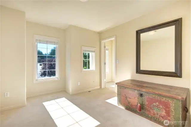 Third guess room upper floor with walk-in closet.