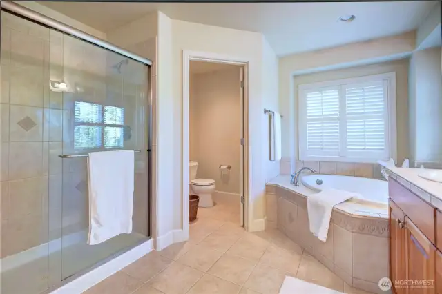 master suite 5 pieces bath with the walk-in closet.
