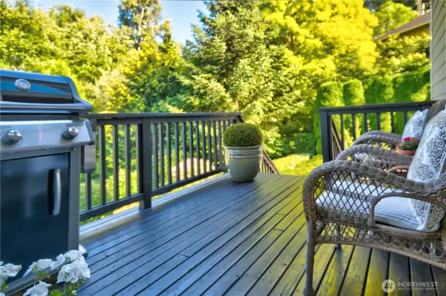 Entertainment in the backyard. Enjoy the nature with an open space of greenbelt.