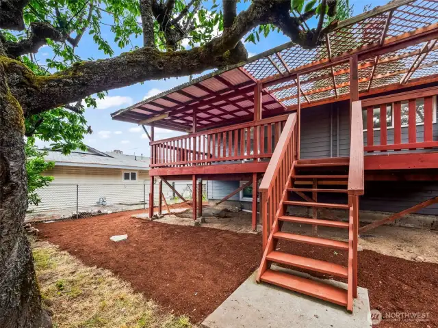 Main House Back Yard