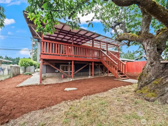 Main House Back Yard