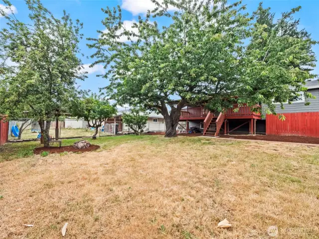 Main House Back Yard