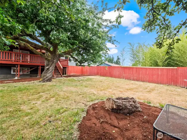 Main House Back Yard