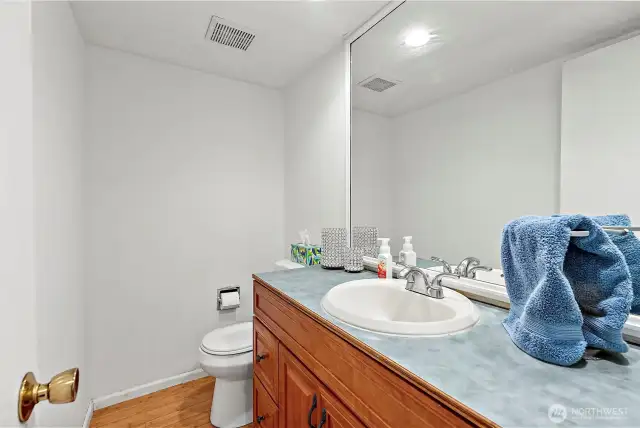 Guest Bath 1 - Lower Level
