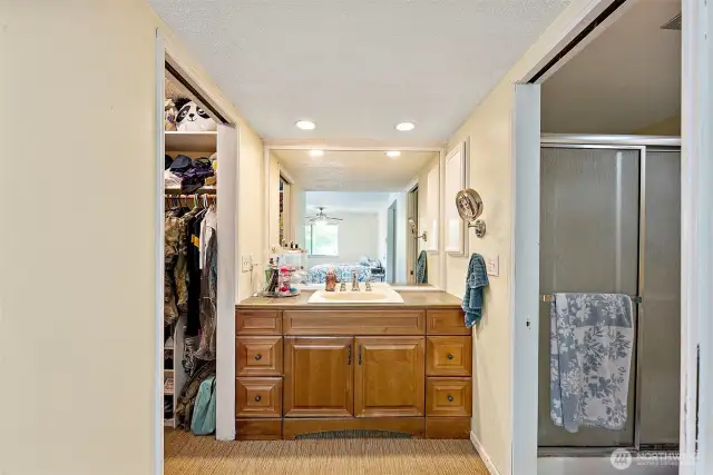 Primary Bathroom/Vanity/Walk-in Closet