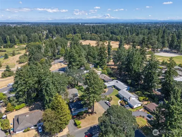 Large Corner Lot in Quiet Neighborhood