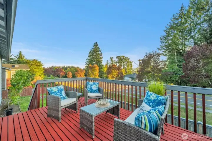Back deck leading to back yard