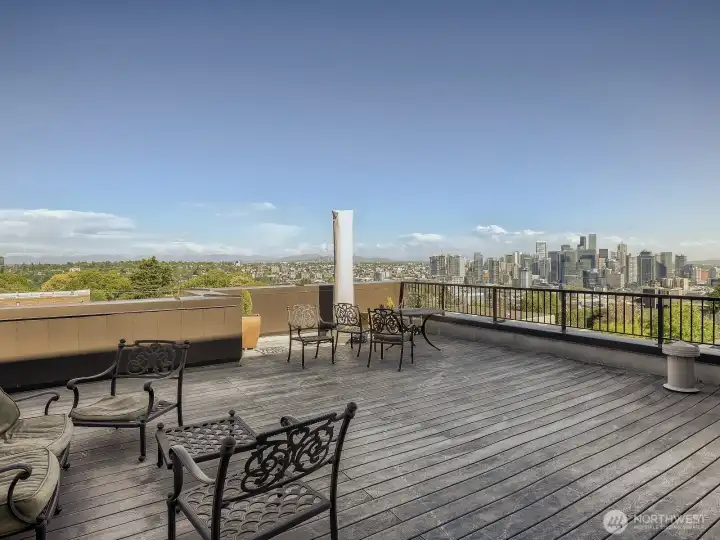 Roof Deck with great city and cascade views.