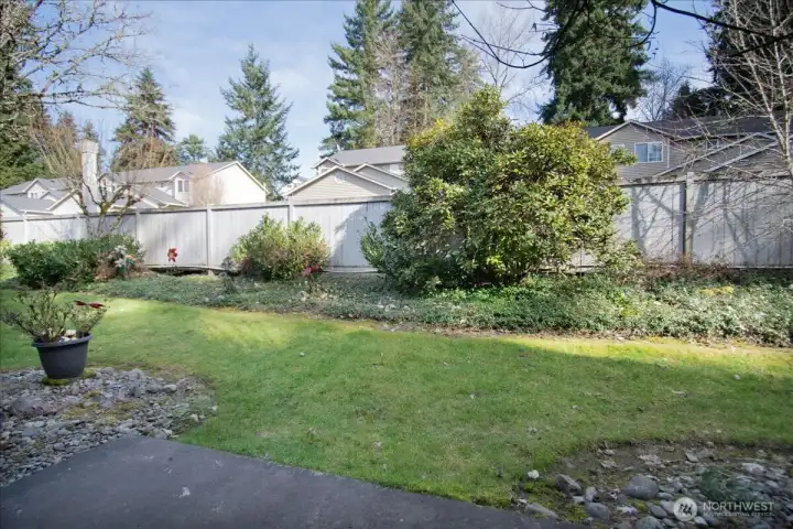 Back Yard