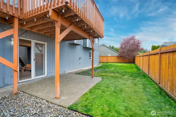 Backyard Patio/Lawn Area