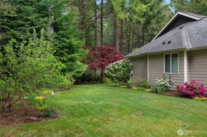 Side yard.