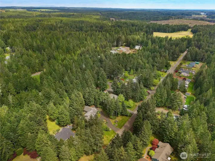 The general area - minutes to 101 and town, easy commute to Olympia.