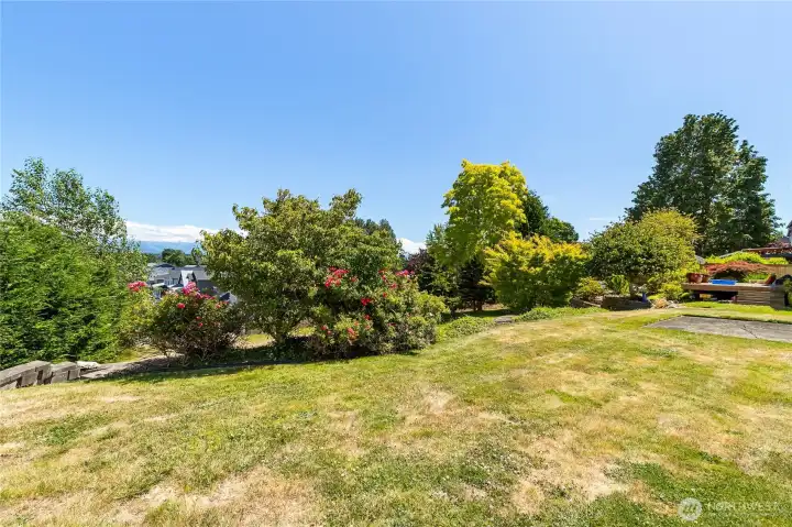Backyard Backyard