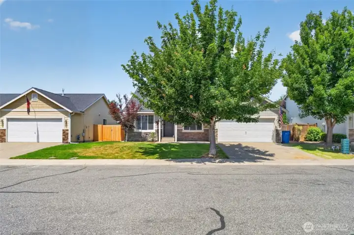 Mature trees adorn the neighborhood