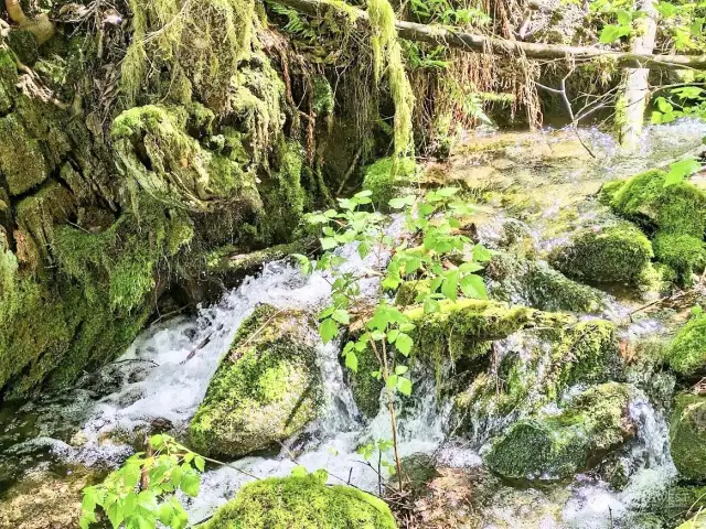 Creek View with waterfalls