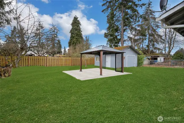 Backyard virtually cleared.