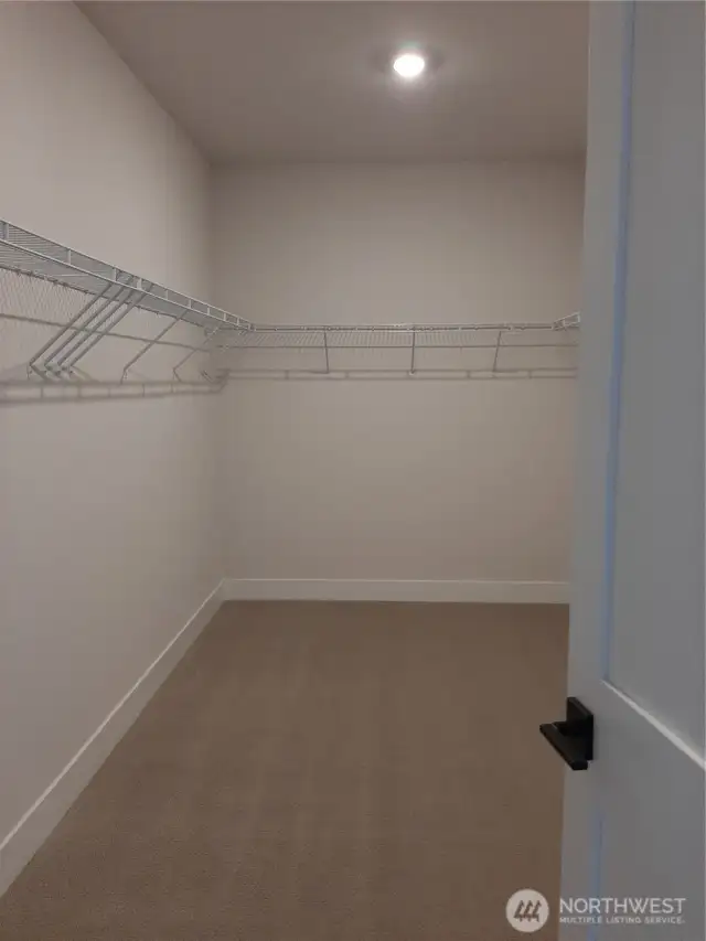Generous primary walk-in closet.