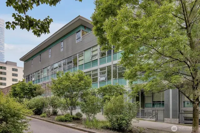 Tree-lined Terry Ave offers park-like setting