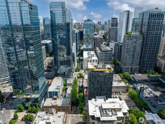 Your in-city sanctuary awaits