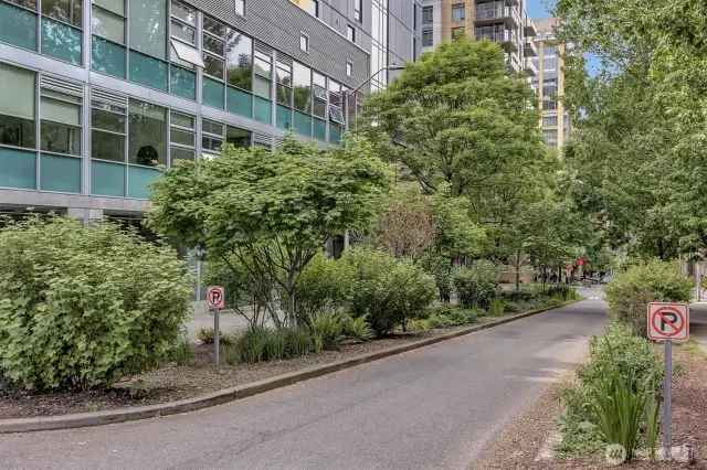 Perched above quiet, tree-lined Terry Ave